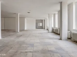 Pronájem obchodního prostoru, Karviná - Ráj, Borovského, 691 m2