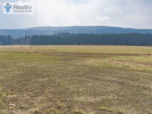 Prodej pozemku pro bydlení, Nicov, 6774 m2