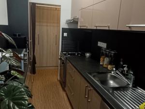 Prodej bytu 2+1, České Budějovice - České Budějovice 2, Josefy Kolářové, 57 m2