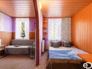 Prodej ubytování, Loučná pod Klínovcem - Loučná, 290 m2