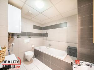 Prodej bytu 2+kk, Plzeň - Černice, Vstupní, 51 m2