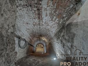 Prodej vinného sklepa, Strachotice, 450 m2