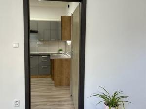 Pronájem bytu 2+kk, Hronov, Husova, 40 m2