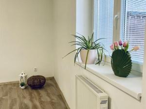 Pronájem bytu 2+kk, Hronov, Husova, 40 m2