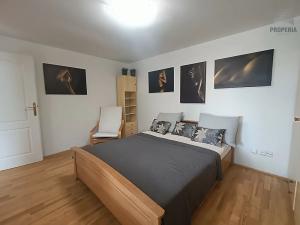 Pronájem bytu 2+1, Brno, Březová, 52 m2
