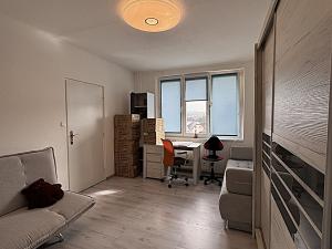 Prodej bytu 1+1, Horní Slavkov, Školní, 34 m2