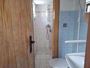 Prodej chalupy, Zlatá Koruna - Plešovice, 100 m2