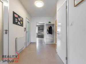 Prodej atypického bytu, Plzeň - Východní Předměstí, Sladkovského, 93 m2