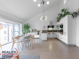 Prodej atypického bytu, Plzeň - Východní Předměstí, Sladkovského, 93 m2