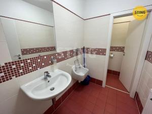 Pronájem kanceláře, Ostrava, Puchmajerova, 160 m2