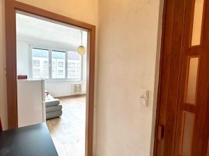 Pronájem bytu 1+kk, České Budějovice - České Budějovice 3, Pekárenská, 20 m2