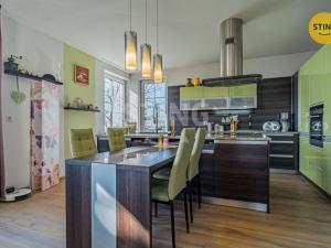 Prodej rodinného domu, Samotišky, Fromkova, 438 m2