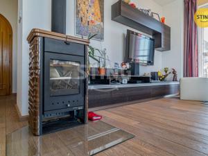 Prodej rodinného domu, Samotišky, Fromkova, 438 m2