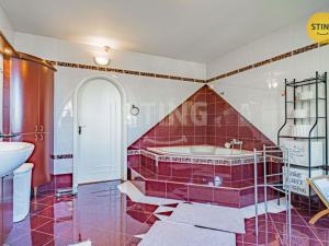 Prodej rodinného domu, Samotišky, Fromkova, 438 m2