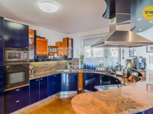 Prodej rodinného domu, Samotišky, Fromkova, 438 m2