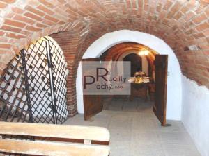 Prodej vinného sklepa, Znojmo - Konice, 260 m2