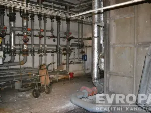 Prodej ubytování, Žihle - Nový Dvůr, Nový Dvůr, 8175 m2