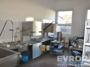 Prodej ubytování, Žihle - Nový Dvůr, Nový Dvůr, 8175 m2