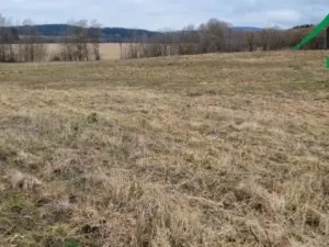 Prodej pole, Chodský Újezd - Neblažov, 387228 m2