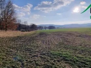 Prodej pole, Staré Sedliště - Nové Sedliště, 47205 m2