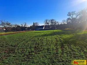 Prodej pole, Štěchov, 4979 m2