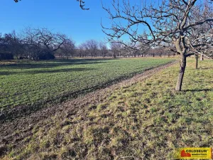 Prodej pole, Štěchov, 4979 m2