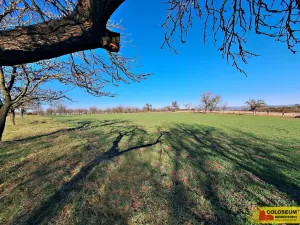 Prodej pole, Štěchov, 4979 m2