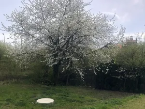 Pronájem bytu 3+kk, Olomouc, U solných mlýnů, 73 m2
