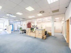 Pronájem obchodního prostoru, Praha - Zličín, Na Radosti, 1030 m2