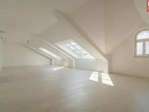 Prodej bytu 4+kk, Olomouc, Vídeňská, 211 m2