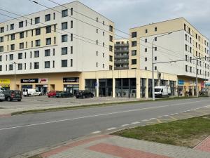 Pronájem obchodního prostoru, České Budějovice - České Budějovice 2, České Vrbné, 175 m2