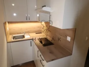 Pronájem bytu 2+kk, České Budějovice - České Budějovice 3, Riegrova, 54 m2