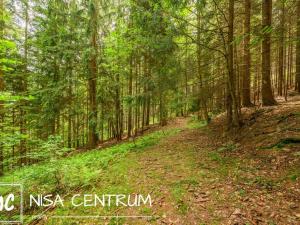 Prodej louky, Víchová nad Jizerou, 1867 m2
