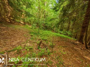 Prodej louky, Víchová nad Jizerou, 1867 m2
