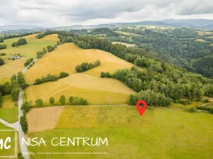 Prodej louky, Víchová nad Jizerou, 991 m2