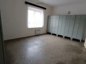 Pronájem výrobních prostor, České Budějovice - České Budějovice 2, České Vrbné, 550 m2