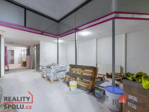Pronájem obchodního prostoru, Plzeň - Vnitřní Město, Sedláčkova, 354 m2