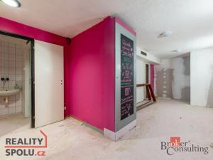 Pronájem obchodního prostoru, Plzeň - Vnitřní Město, Sedláčkova, 354 m2