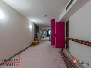 Pronájem obchodního prostoru, Plzeň - Vnitřní Město, Sedláčkova, 354 m2