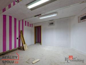 Pronájem obchodního prostoru, Plzeň - Vnitřní Město, Sedláčkova, 354 m2
