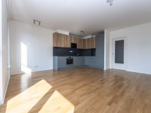 Pronájem bytu 2+kk, Praha - Žižkov, U Viktorie, 58 m2