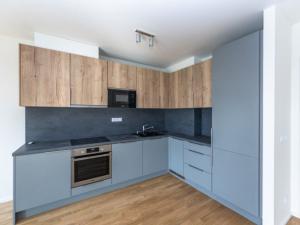 Pronájem bytu 2+kk, Praha - Žižkov, U Viktorie, 58 m2