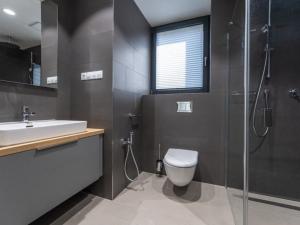 Pronájem bytu 2+kk, Praha - Žižkov, U Viktorie, 58 m2
