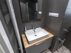 Pronájem bytu 2+kk, Praha - Žižkov, U Viktorie, 58 m2