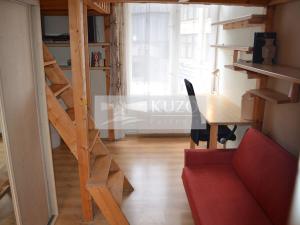 Prodej bytu 4+1, Praha - Staré Město, Rybná, 158 m2