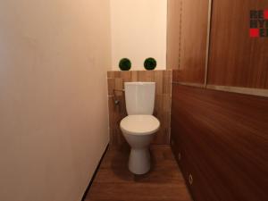 Pronájem bytu 2+kk, Cvikov - Cvikov II, Sídliště, 43 m2