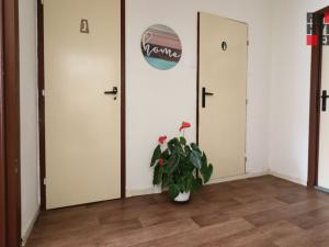 Pronájem bytu 2+kk, Cvikov - Cvikov II, Sídliště, 43 m2