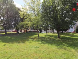 Pronájem bytu 2+kk, Cvikov - Cvikov II, Sídliště, 43 m2