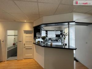 Pronájem bytu 3+kk, Příbram - Příbram VII, náměstí 17. listopadu, 74 m2
