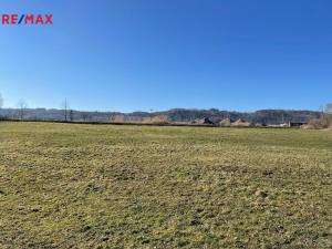 Prodej komerčního pozemku, Vražné, 6704 m2